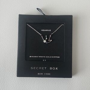 Aquarius Zodiac White Gold Necklace